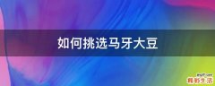 如何挑选马牙大豆