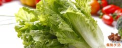 生菜汁可以放冰糖吗 生菜榨汁搭配