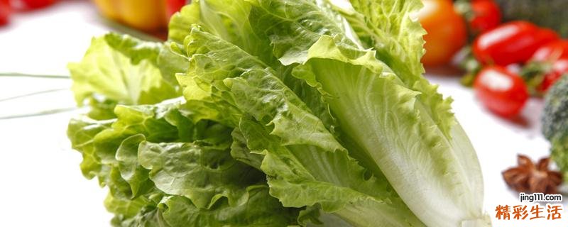 生菜汁可以放冰糖吗 生菜榨汁搭配
