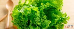生菜要放水里泡着吗 生菜种子需要泡水吗