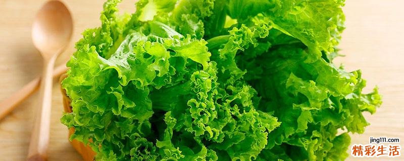 生菜榨汁有减肥效果吗 生菜和什么榨汁能减肥