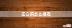 圆白菜怎么挑选