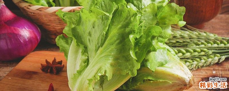 减肥期间可以吃生菜吗 生菜减肥法怎么吃