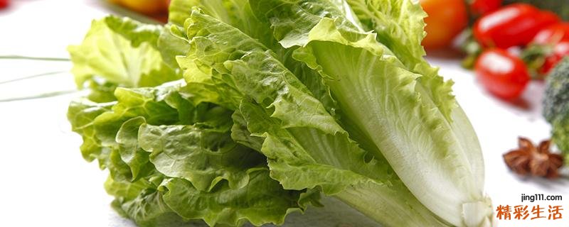 生菜减肥期间可以吃吗 生菜减肥法怎么吃