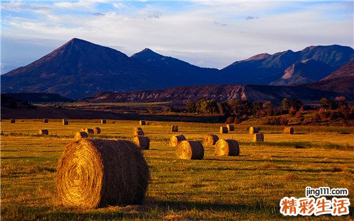 5 7大秘籍 你也可以像明星一样美