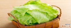 洗了好多天的生菜还能吃吗 生菜可以放多久