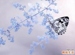 4 7大秘籍 你也可以像明星一样美