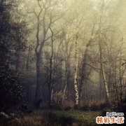 色素性皮肤病怎样防治?