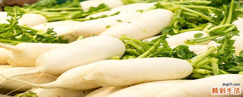 白萝卜不能和什么一起吃