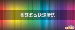香菇怎么快速清洗