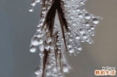 2023黄梅天什么时候开始什么时候结束