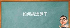 如何挑选笋干