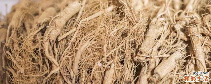 吃党参可以吃白萝卜吗 党参补气吃多久才见效