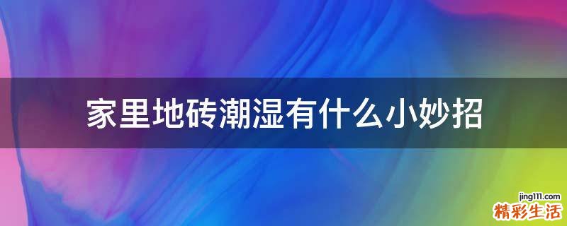 家里地砖潮湿有什么小妙招
