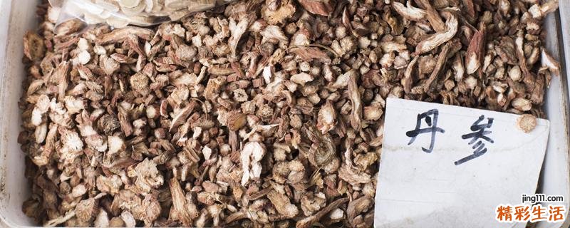 吃丹参粉能吃白萝卜吗 丹参粉天天食用可以吗