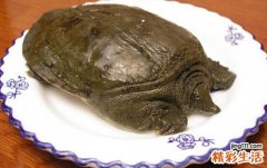 苋菜不能和什么一起吃