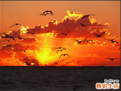 怎样预防吸烟中毒症，吸烟中毒症的护理