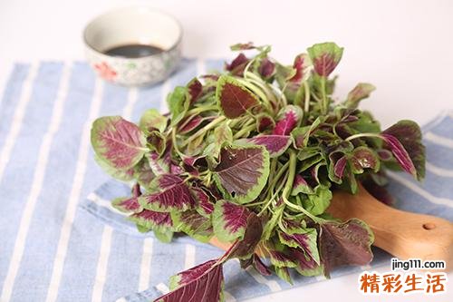 苋菜可以和牛肉一起吃吗 苋菜不能和什么一起吃