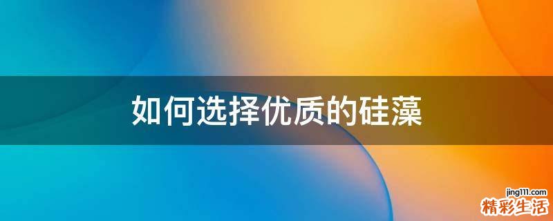 如何选择优质的硅藻