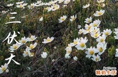 2023年三伏天是啥时候