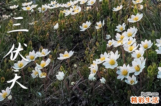 2023年三伏天是啥时候