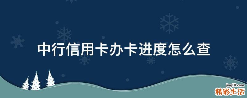 中行信用卡办卡进度怎么查