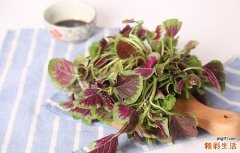 苋菜生吃有什么好处 苋菜吃了能补血吗