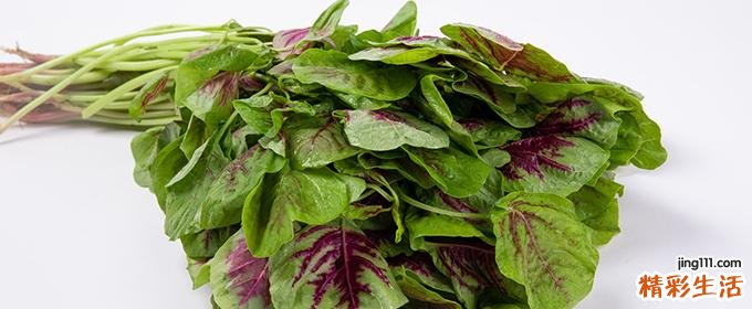 隔夜苋菜放冰箱能吃吗 吃了隔夜的苋菜怎么办