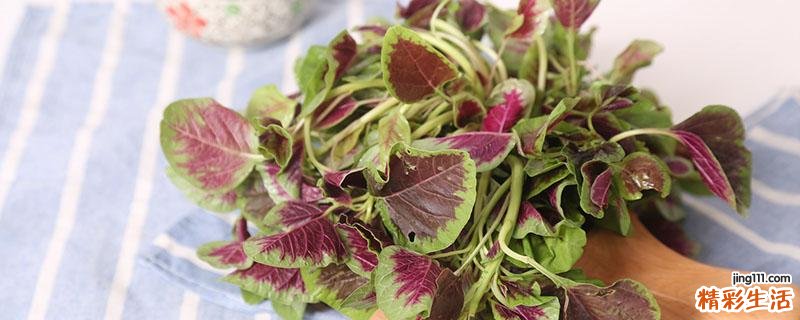 紫苋菜有什么作用 吃紫苋菜有哪些好处