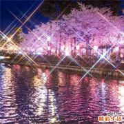如何正确去角质