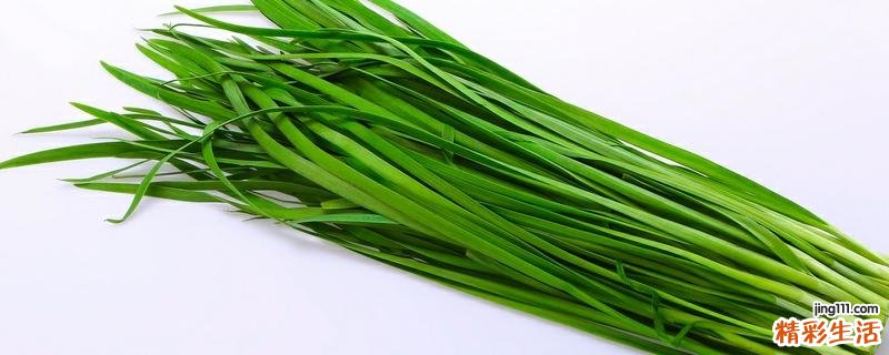 韭菜根的功效与韭菜相同吗 韭菜根的吃法有哪些