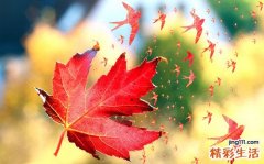 囊状淋巴管瘤可以并发哪些疾病？