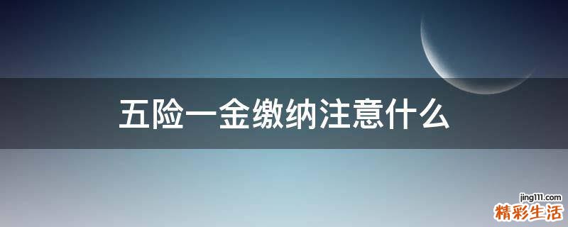 五险一金缴纳注意什么