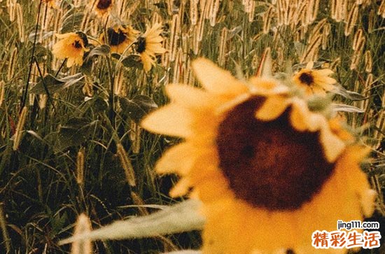 2023年三伏天初伏是什么时间