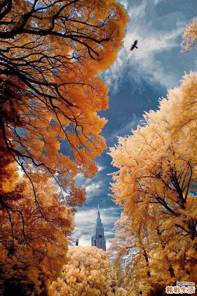 哪些因素导致子宫收缩乏力