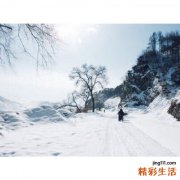 粘连性肠梗阻的病因病理