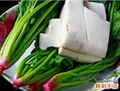 菠菜不能和什么一起吃