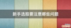 新手选股要注意哪些问题