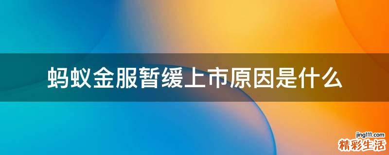 蚂蚁金服暂缓上市原因是什么