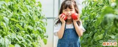 青色番茄能不能吃 空腹吃番茄好吗