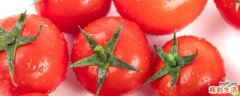 番茄吃多久会变白 一天吃几个番茄能快速变白