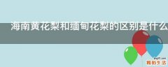 海南黄花梨和缅甸花梨的区别是什么