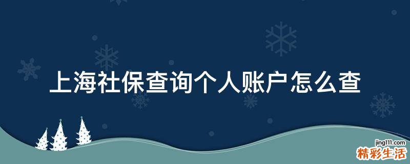 上海社保查询个人账户怎么查