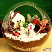 栀子根