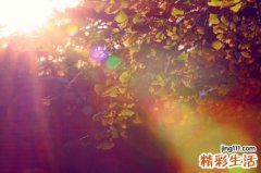 朴消