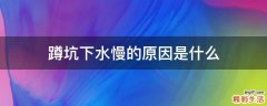 蹲坑下水慢的原因是什么