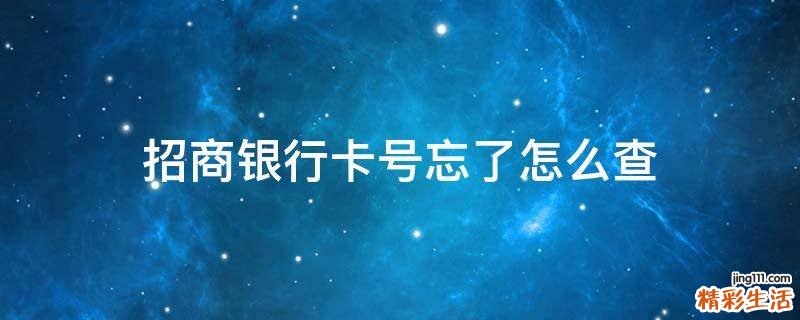 招商银行卡号忘了怎么查