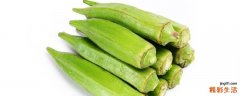 黄秋葵能吃吗