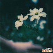 色觉异常的原因_色觉异常是怎么引起的