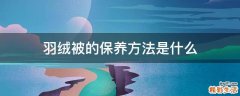 羽绒被的保养方法是什么